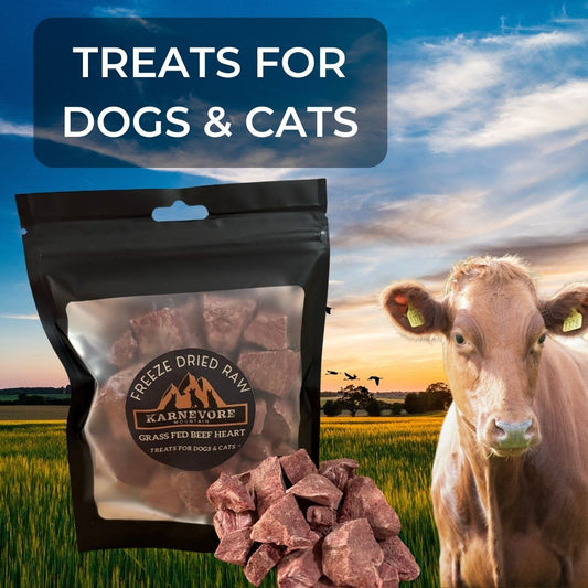 Image of Karnevore Mountain beef heart freeze dried raw cat and dog treats.  Made from human grade beef raised by Higginson Farms in Meaford Ontario.