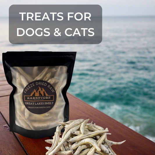 Image of Karnevore Mountain Great Lakes Smelt freeze dried raw cat and dog treats. Made from human grade, wild caught fish wild caught in the Great Lakes.